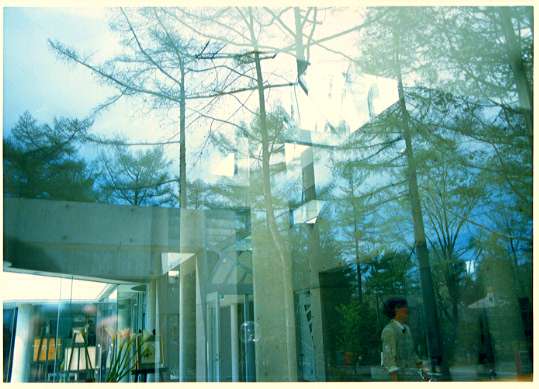 photo003.JPG (33560 oCg)